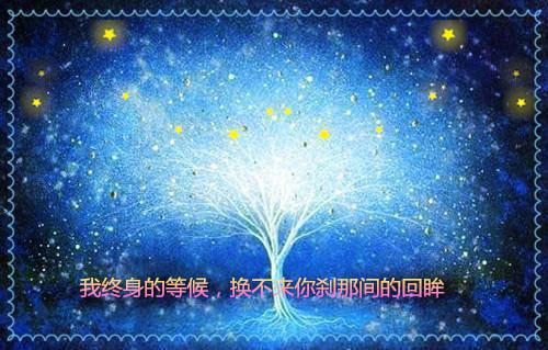 苏晚凝陆景淮小说 苏晚凝陆景淮免费全文阅读