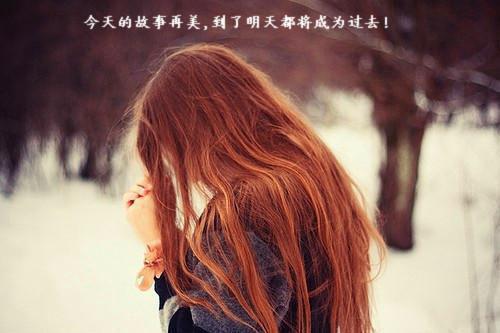 竹断相思情不知(花胶)小说最新章节