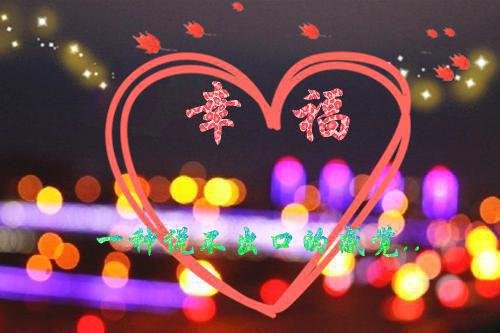 陆羽柔贺言桦小说在线阅读 陆羽柔贺言桦最新章节目录