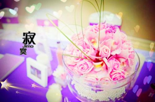 烬雪覆情深：结局+番外免费阅读无弹窗大结局_（江若雪盛斯屿）烬雪覆情深：结局+番外最新章节列表_笔趣阁（江若雪盛斯屿）