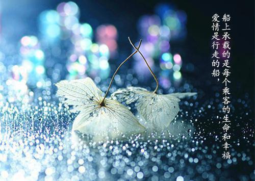 张芮裴逸之林晚免费小说 张芮裴逸之林晚全文阅读目录
