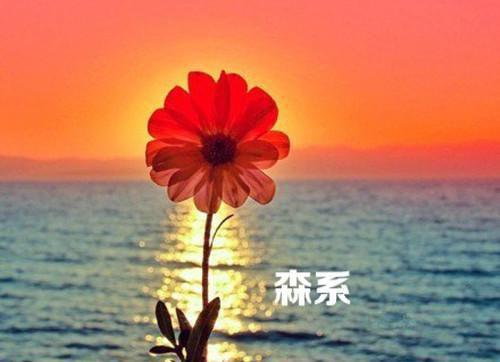 姜絮迟霍临舟哪里可以看 姜絮迟霍临舟免费阅读第2章