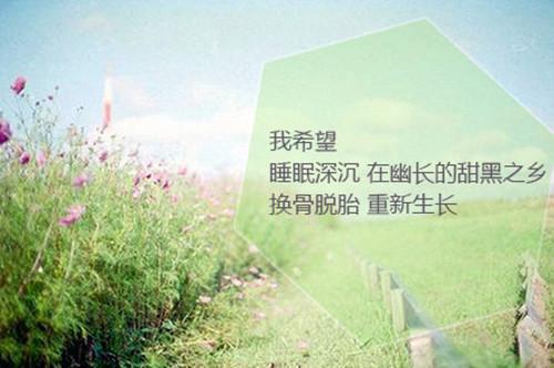 陆行易舟什么小说 陆行易舟全文免费阅读