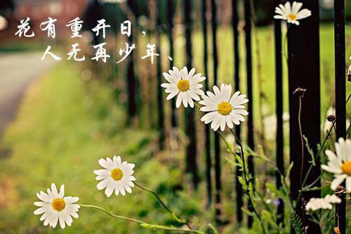 李磊吴桂花瑶瑶小说叫什么 李磊吴桂花瑶瑶小说全文免费阅读