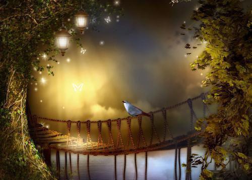 苏轻菀段翊舟免费阅读目录 苏轻菀段翊舟小说全文