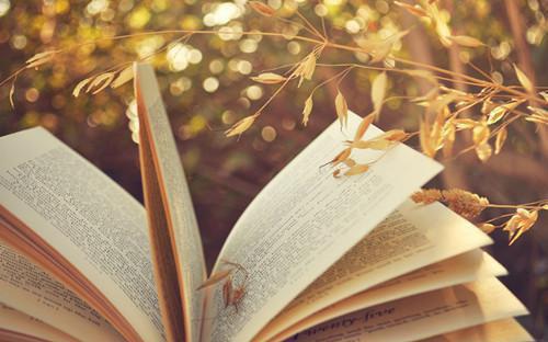 外甥直播控诉我，重生后我摆烂了陈瑶林俊小说免费无弹窗 陈瑶林俊小说阅读