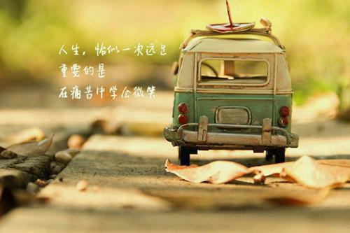 《谢之逊谢安麟小说》无弹窗全文免费阅读