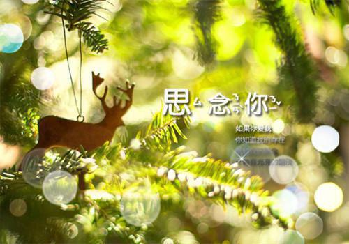 裴纪洲江柠（当女配看见弹幕后,被病娇男主强制爱了：结局+番外）小说免费在线阅读_裴纪洲江柠全本最新后续阅读（当女配看见弹幕后,被病娇男主强制爱了：结局+番外）