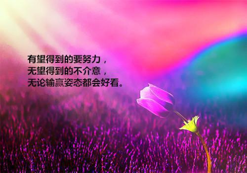 江以蓁的小说潮起时问归期纯净版江以蓁秦司礼楚舟野全文在线阅读