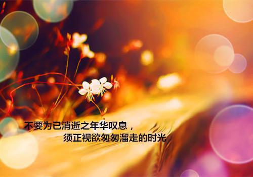 洛秋余傅斯年免费小说 洛秋余傅斯年全文阅读目录