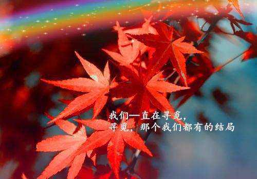 全文浏览爱如雾里看花精品选集（沈知霜裴寂野）_爱如雾里看花精品选集（沈知霜裴寂野）全文结局