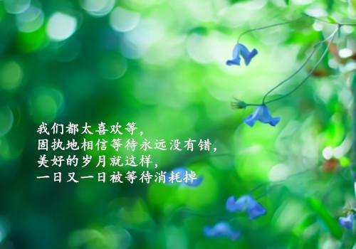 (完整版)董骁齐沈晞月小说免费阅读无广告