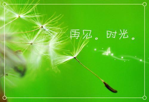 楚松筠叶蓁蓁小说叫什么 楚松筠叶蓁蓁小说全文免费阅读