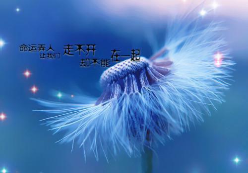 全文浏览倦鸟不归，孤云自远高分完本（乔亦宸秦珈蓝）_倦鸟不归，孤云自远高分完本（乔亦宸秦珈蓝）全文结局