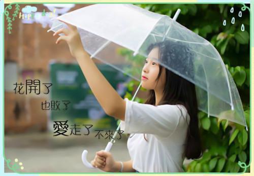 叶念薇苏瑶小说在线阅读 叶念薇苏瑶最新章节目录