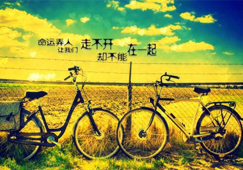 沈青禾贺临渊霍沉洲：后续更新全文阅读_沈青禾贺临渊霍沉洲：后续更新全文免费阅读