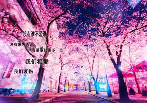 沈青禾霍沉洲周雪芙异常火爆全文阅读_沈青禾霍沉洲周雪芙异常火爆全文免费阅读