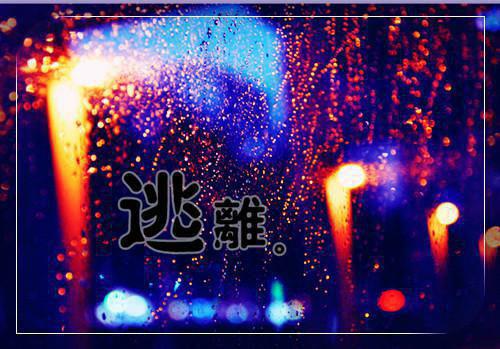 此去经年人未还小说(沈青禾霍沉洲)章节阅读