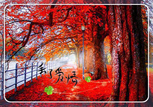权雾顾聿峥免费全本小说 权雾顾聿峥章节目录