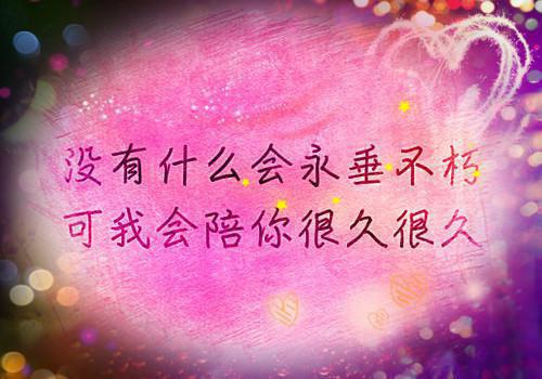 (完整版)林薇薇顾清阳小说免费阅读无广告