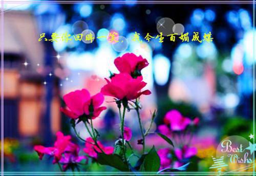 全本雪色空茫失君颜：+后续+结局（云知意程景深）最新章节列表_雪色空茫失君颜：+后续+结局全文阅读