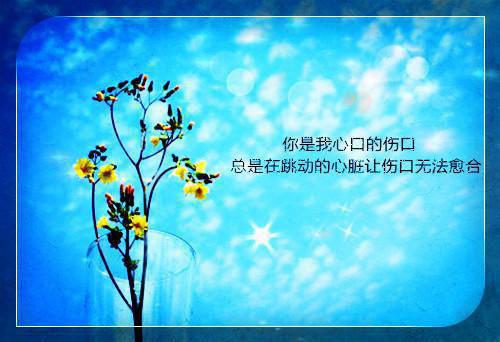 江墨白周晴安是什么小说 江墨白周晴安全本免费阅读