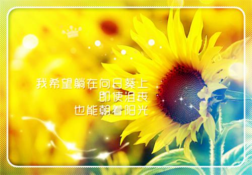 林微顾廷修小说名字免费 第四年，男友的小青梅与我们在解剖室重逢章节阅读