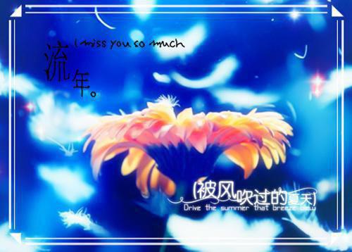 (抖音小说)灵汐萧景泽小说全文阅读免费