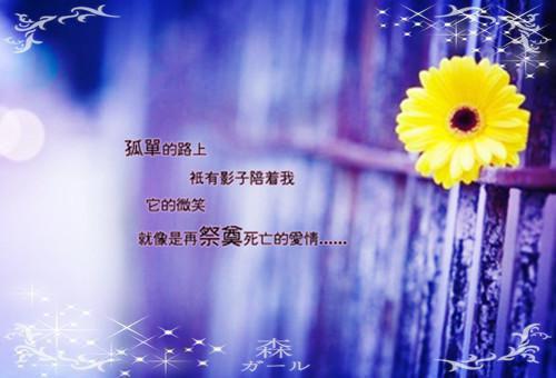 苏瑾禾韩穆屿什么小说 苏瑾禾韩穆屿全文免费阅读