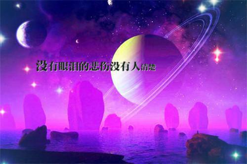 姜蕾紫葵是什么小说的主人公 姜蕾紫葵免费阅读