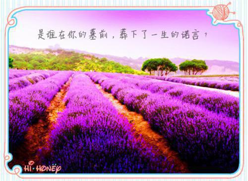 我退出捞尸队后，自称能通灵的继妹急疯了林穗禾林茜然小说小说(林穗禾林茜然)章节阅读