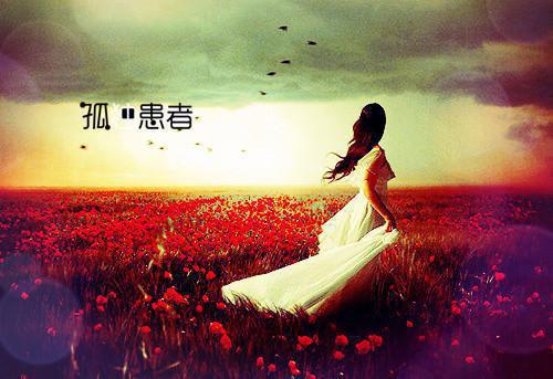 别在我的墓前说爱我(完整版)全文免费阅读沈清涵李慕泽小说
