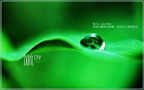 星星程一川小说叫什么 星星程一川小说全文免费阅读