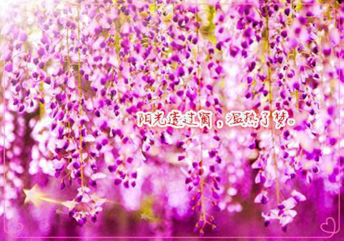 王翠花季沉免费完结版 重生八零，肥妻嫁团长后赢麻了王翠花季沉小说阅读