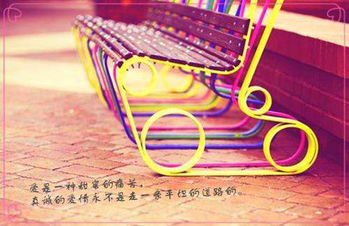 齐飞沈澈全文免费阅读最新 齐飞沈澈