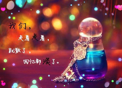 沈知瑾许从礼小说 沈知瑾许从礼免费章节阅读