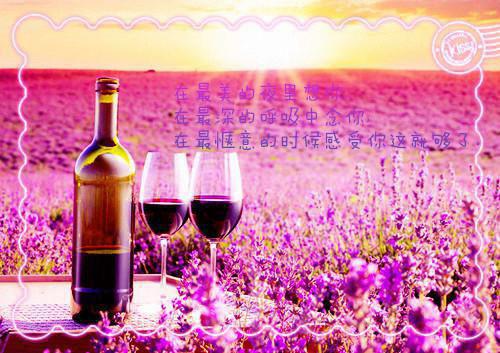暗黑财阀：极品女神被我主宰：全文徐俊宇徐俊宇小说在线免费阅读(大结局)