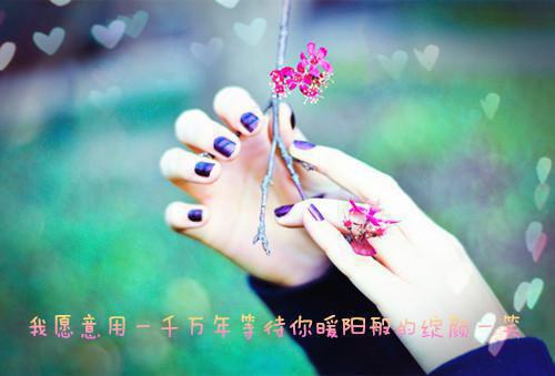 爱意所负，余恨情长(佚名)小说最新章节