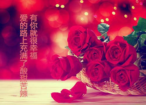 梨花望晚风：全文季云枝沈随之季云枝沈随之免费章节试读