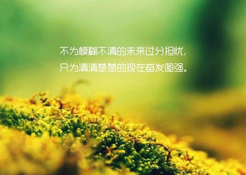 秦朝露顾闻洲全文免费大结局 秦朝露顾闻洲小说在线阅读