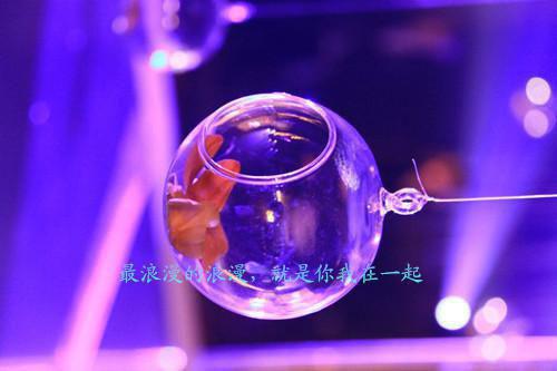 谢蓁蓁谢执野全文免费 谢蓁蓁谢执野在线阅读