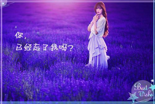 温栀秋裴司淮全文阅读 温栀秋裴司淮小说最新章节