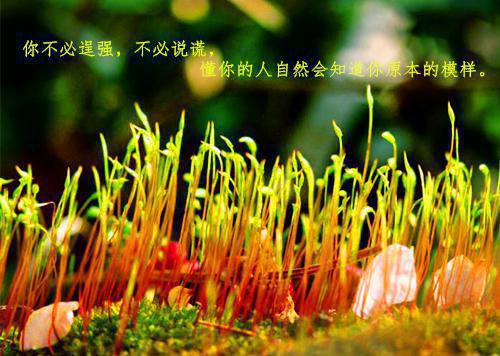 直播爆火后，大佬们都在追我(顾软)小说最新章节