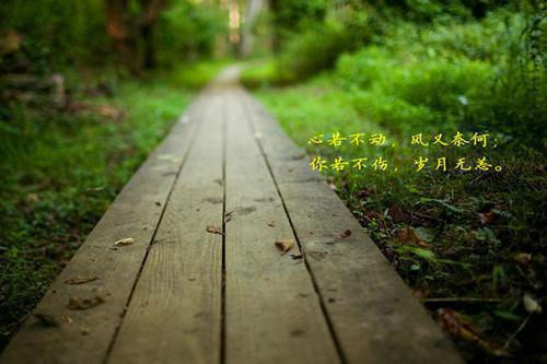 温喻言魏安小说最新章节 温喻言魏安免费阅读