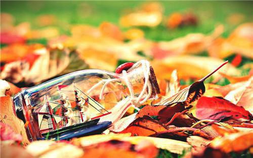 (番外)+(全文)与你共赴朝暮：全文+后续+结局（宋南星霍砚深）完结阅读无弹窗大结局_（宋南星霍砚深）最新章节列表_笔趣阁（与你共赴朝暮：全文+后续+结局）