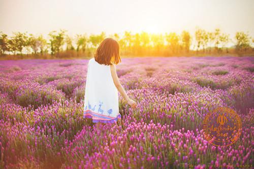 何夕何清瑶小说叫什么名字 何夕何清瑶全文免费阅读