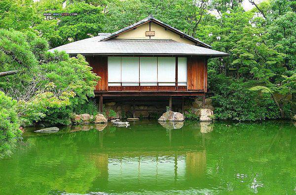 全网首发苏糯白鹿鹤羽小说叫什么(苏七小姐回府后京城多了个神算子)（苏糯白鹿鹤羽）全书阅读纯净阅读