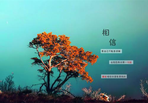 宋明月傅彦免费小说 宋明月傅彦全文阅读目录