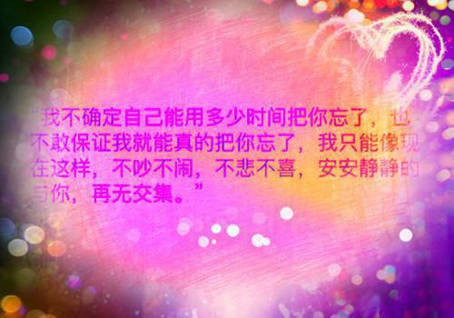 苏念安杨晨免费全本小说 苏念安杨晨章节目录