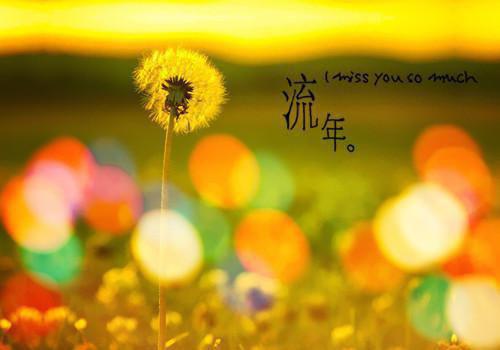 (抖音小说)姜叶楠宋煜免费阅读第3章